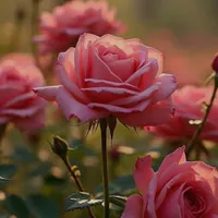 شاگرد برای رنگ آمیزی