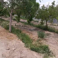 ابشار بعد از زردنجان  جوزدان خ بهاران|فروش زمین و ملک کلنگی|اصفهان, براآن شمالی|دیوار
