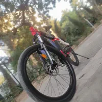 گمشده