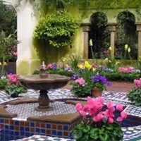خدمات تخصصی سمپاشی باغچه گلخانه ویلا منزل کاشت گل|خدمات باغبانی و درختکاری|سنندج, |دیوار