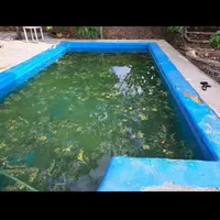باغشهرهمایجان با چشمه وآب اختصاصی و انشعابات|فروش زمین و ملک کلنگی|شیراز, ابیوردی|دیوار