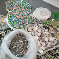 صدف و شن اکواریوم