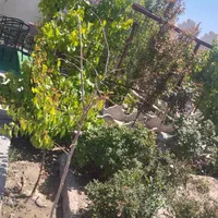 ۷۰۰ متر باغ ویلا شهرکی سندتک برگ|فروش خانه و ویلا|تهران, خلیج فارس|دیوار