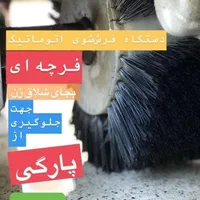 قالیشویی وپتوشویی گل سرخ