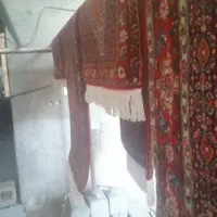 قالیشویی هورامان قالی شویی مبل شویی سخت پسندان|خدمات نظافت|سنندج, |دیوار