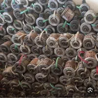 داغی ضایعات موتور دینام سوخته کولرآبی موتوژن تبریز