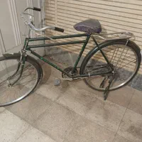 دو چرخه چینی فونیکس
