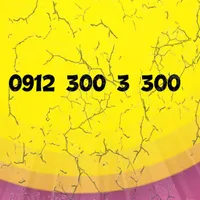 300 3 300 0912