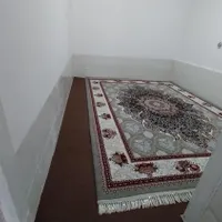 سویت ومنزل یک خواب پاسارگاد آرامگاه کوروش|اجارهٔ کوتاه‌مدت آپارتمان و سوئیت|مرودشت, تخت جمشید|دیوار