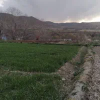 باغ پلاک دوم رودخانه روستای چمنار|فروش دفتر صنعتی، کشاورزی، تجاری|سامان, |دیوار