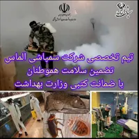 سمپاشی فوری ساس سوسک موش بامجوز وضمانت کتبی 100٪|خدمات نظافت|تهران, پونک|دیوار