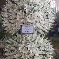 تاج گل فروشی گلخانه بازار گل|گل و گیاه طبیعی|اصفهان, دشتستان|دیوار