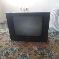 تلویزیون