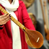 سه تار مهر نظری چوب گردو|سازهای سنتی|پردیس, |دیوار
