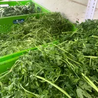 هایپر سبزی سبزینو|خوردنی و آشامیدنی|تهران, نیکنام|دیوار