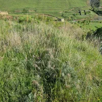 ۱۲۰ مترمربع زمین در روستای توریستی ابراهیم آباد|فروش دفتر صنعتی، کشاورزی، تجاری|کرج, شهرک ظفر|دیوار