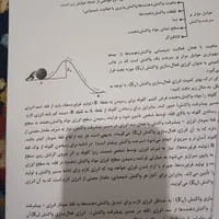 کتاب تست جزوه تجربی قیمت عالی|کتاب و مجله آموزشی|تهران, استاد معین|دیوار