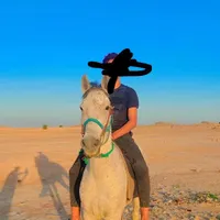 اسب صگلاویه|اسب و تجهیزات اسب‌سواری|حمیدیه, |دیوار