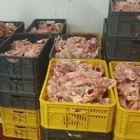 خردکنی مرغ و بیخصی