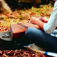 آموزش تضمینی اصولی  سنتور،  برای همه سنین