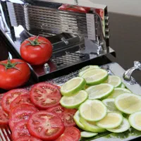 خرد کن لیمو ترش رودان اسلایس لیمو اسلایسر