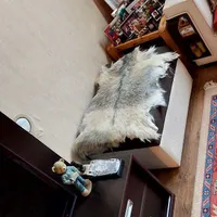 فروش پادری طبیعی پوست بز و گوسفند|پادری|تهران, تهرانپارس غربی|دیوار