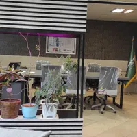 حسابدار خانم