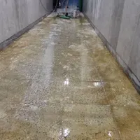 کفسابی ونماشوی|خدمات نظافت|زاهدان, |دیوار