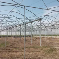 گلخانه از صفر تا صد|خدمات باغبانی و درختکاری|کرج, گوهردشت|دیوار