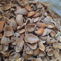 خریدو فروش انواع بادم و مغز بادام به قیمت تجاری|خوردنی و آشامیدنی|نجف‌آباد, جعفرآباد|دیوار