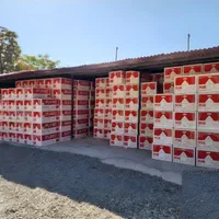 پکیج ایرتورپن بوتان/ال24 ایران/m24/ رادیاتور