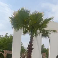 احداث باغ،باغبانی،اجرای سیستم مکانیزه آبیاری، چمن|خدمات باغبانی و درختکاری|کرمانشاه, |دیوار