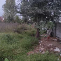 زمین مسکونی هزار متری در مرکیه بغل دریاچه شاهان|فروش زمین و ملک کلنگی|صومعه‌سرا, |دیوار
