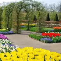 خدمات تخصصی سمپاشی باغچه گلخانه ویلا منزل کاشت گل|خدمات باغبانی و درختکاری|سنندج, |دیوار