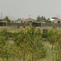 فروش باغ بادام ۱۰۰۰ متری  سنددار|فروش زمین و ملک کلنگی|تهران, آبشار تهران (دریاچه)|دیوار