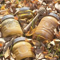 معجون تقویتی|خوردنی و آشامیدنی|اصفهان, بوستان آینه خانه|دیوار