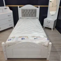 سرویس تک نفره شرکتی رادین ۲