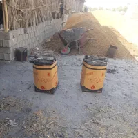 ذغال لیمو انگور سکه مجلسی زغال چینی کبابی و.‌.|عمده‌فروشی|تهران, شهرک رضویه|دیوار