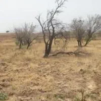 زمین بوستان زندگی نقد و معاوضه با خودرو