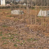 فروش زمین ۶۰۰ متری سند تگ برگ پروانه ساخت۱۰۰متری|فروش زمین و ملک کلنگی|صومعه‌سرا, |دیوار