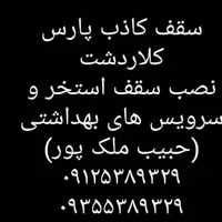 نصاب سقف کاذب سرویس بهداشتی و استخر (حبیب ملک پور)|خدمات پیشه و مهارت|کلاردشت, |دیوار
