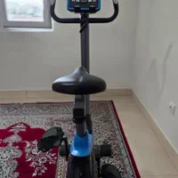 دوچرخه ثابت
