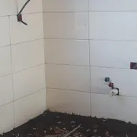 استاد کارم