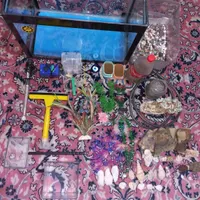اکواریوم و وسایل کامل نو|ماهی|بومهن, |دیوار