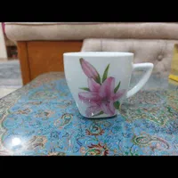 سرویس چینی رنگی6نفره|ظروف سرو و پذیرایی|تهران, مهران (سیدخندان)|دیوار