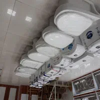 توالت فرنگی /کارن