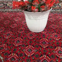 گل های درحد نو|گل مصنوعی|مراغه, |دیوار