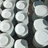 انواع پیش سرویس چینی