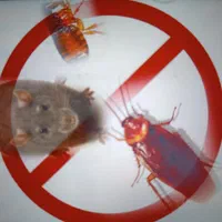 سمپاشی و طعمه گذاری تضمینی ،سوسک و موش،سم پاشی|خدمات نظافت|ارومیه, |دیوار