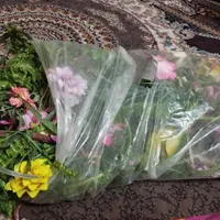 گل وریسه مصنوعی|گل مصنوعی|بندرعباس, |دیوار